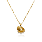 Ocean’s Embrace Set